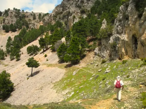 41 - Ángel Ñacle García