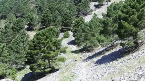 43 - Ángel Ñacle García