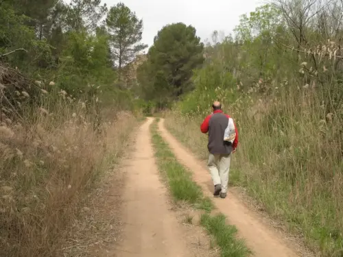 51 - Ángel Ñacle García