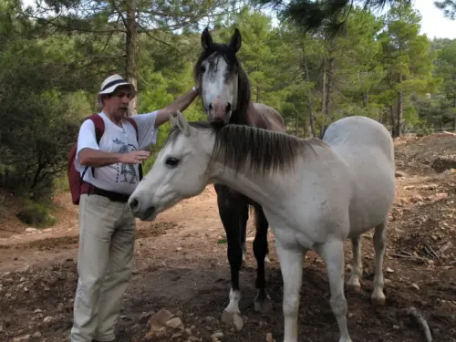 52 - Ángel Ñacle García