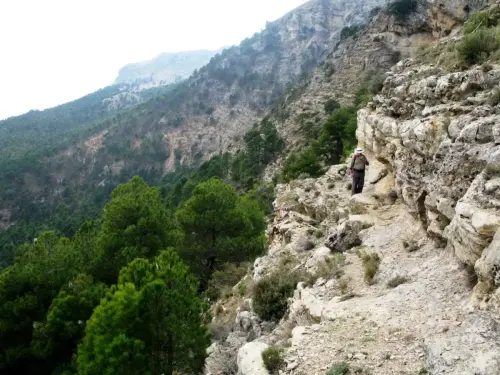 71 - Ángel Ñacle García