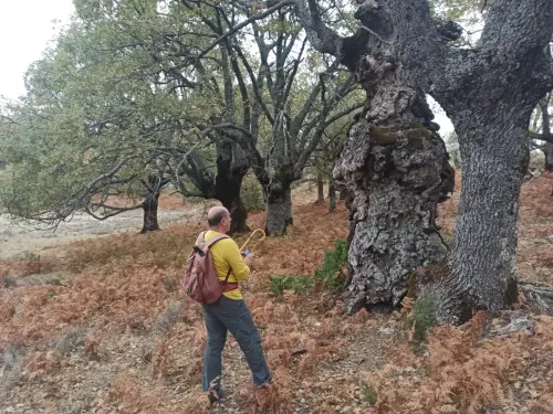 73 - Ángel Ñacle García