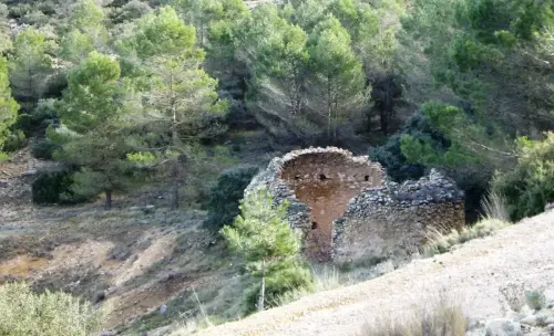 Pozo-de-nieve-Caudete