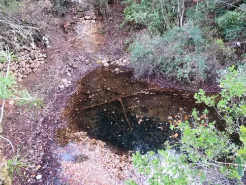 Salero-de-Cotillas10