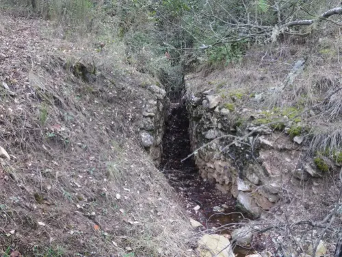 Salero-de-Cotillas11