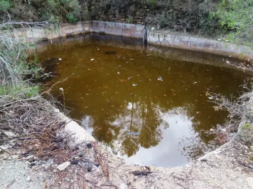 Salero-de-Cotillas14