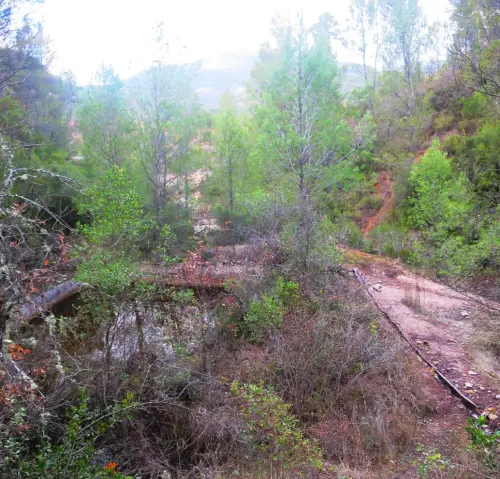 Salero-de-Cotillas15