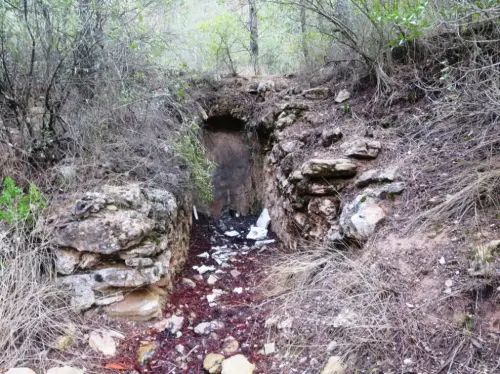 Salero-de-Cotillas16