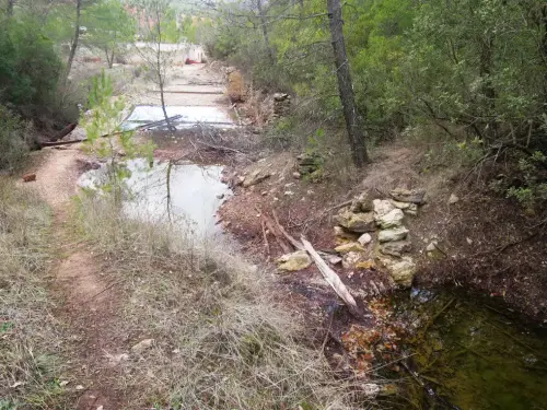 Salero-de-Cotillas20