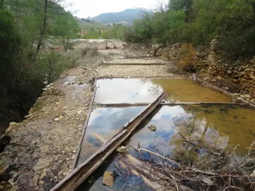 Salero-de-Cotillas21