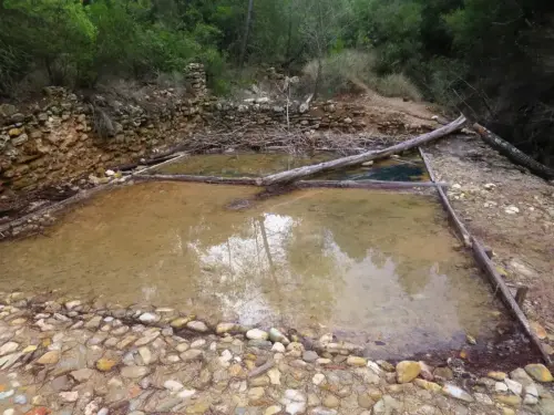 Salero-de-Cotillas22