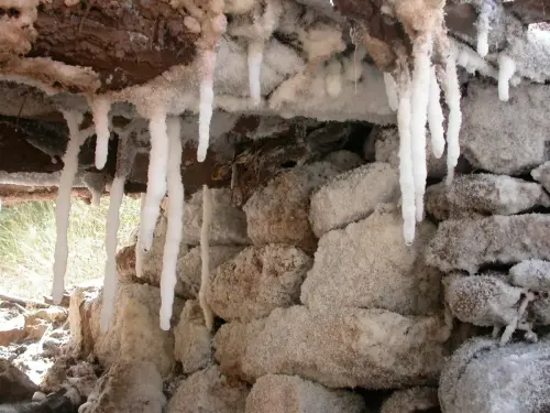 Salero-de-Cotillas30