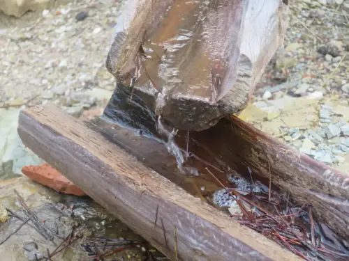 Salero-de-Cotillas32