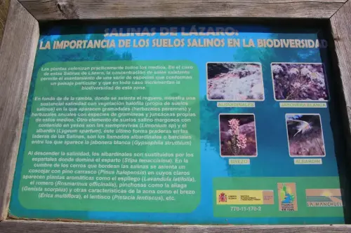 Salero-de-Lazaro-Casas-de-Ves