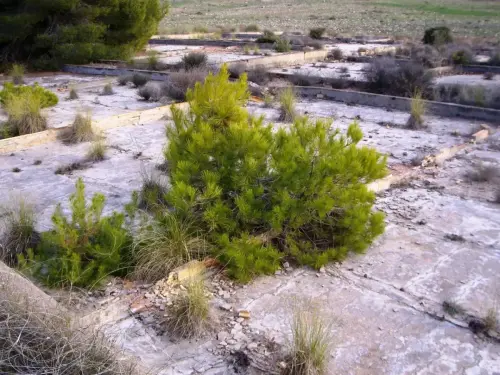 Salinas-de-Madax-Hellin