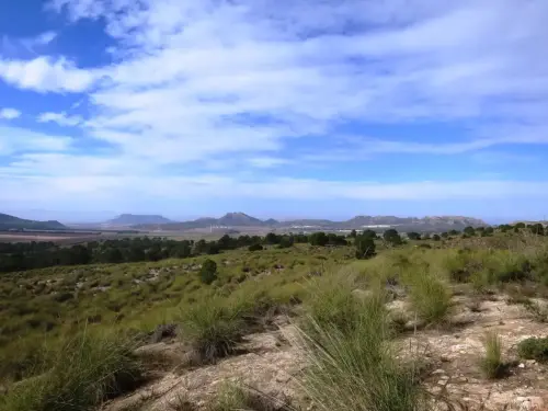 Salinas-de-Madax-Hellin10