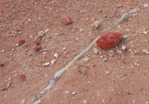 Salinas-de-Madax-Hellin22