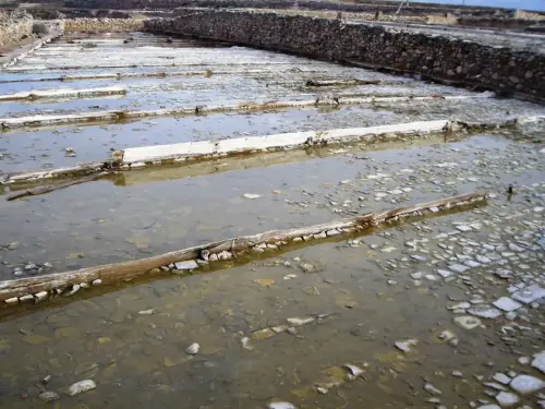 Salinas-de-Pinilla-Viveros
