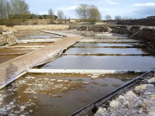 Salinas-de-Pinilla-Viveros10