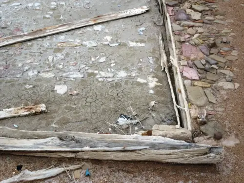 Salinas-de-Pinilla-Viveros12