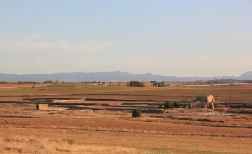 Salinas-de-Pinilla-Viveros19