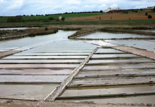 Salinas-de-Pinilla-Viveros2