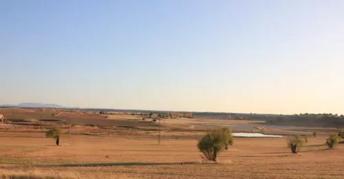 Salinas-de-Pinilla-Viveros20