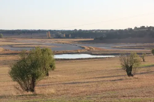 Salinas-de-Pinilla-Viveros21