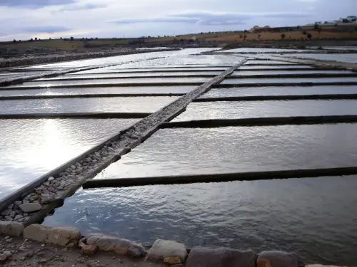 Salinas-de-Pinilla-Viveros3