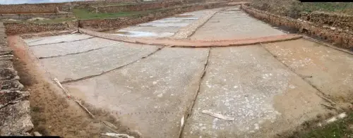 Salinas-de-Pinilla-Viveros5