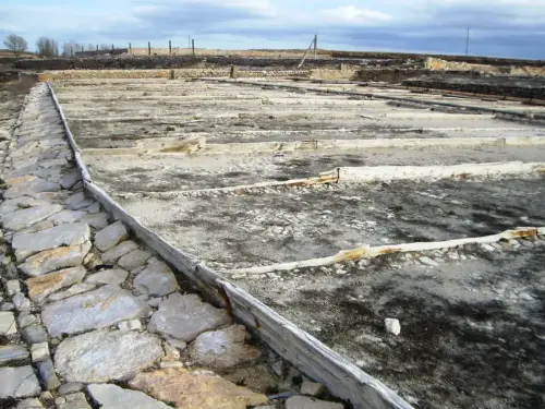 Salinas-de-Pinilla-Viveros6