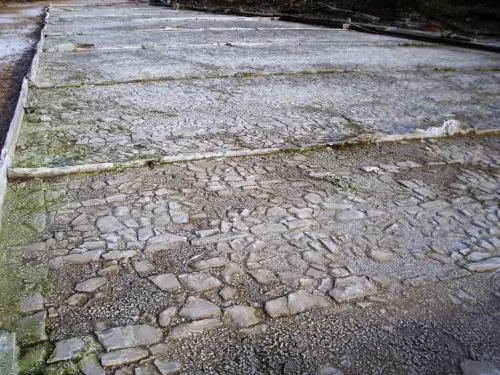 Salinas-de-Pinilla-Viveros7