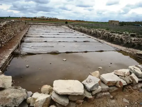 Salinas-de-Pinilla-Viveros8