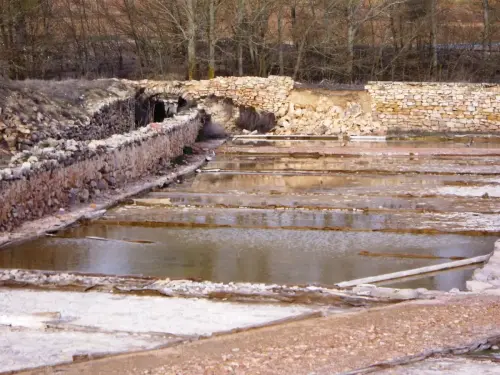 Salinas-de-Pinilla-Viveros9