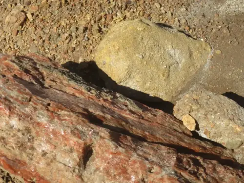 z-Salero-de-Jumilla14