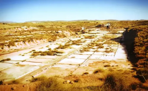 z-Salero-de-Jumilla2