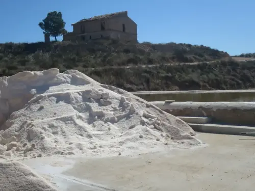 z-Salero-de-Jumilla6