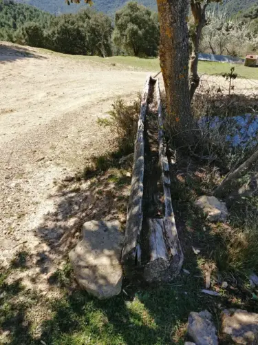 Tornajos-Arroyo-de-la-Espinea-Parolis-Yeste