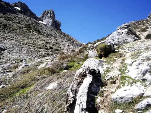 Tornajos-Calar-de-La-Sima-Pena-Palomera-Yeste6