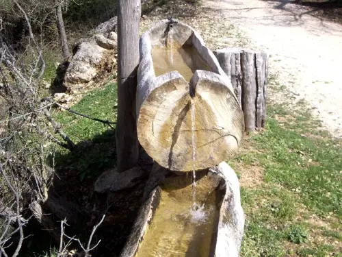 Tornajos-Cortijo-del-Royo-Villaverde-de-Guadalimar3