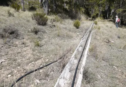 Tornajos-El-Encebrico-Paterna
