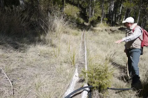 Tornajos-El-Encebrico-Paterna2