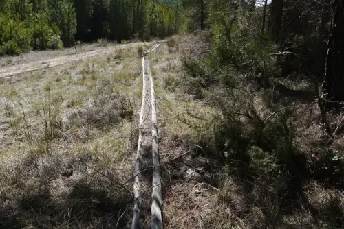 Tornajos-El-Encebrico-Paterna5