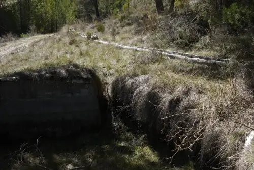 Tornajos-El-Encebrico-Paterna7