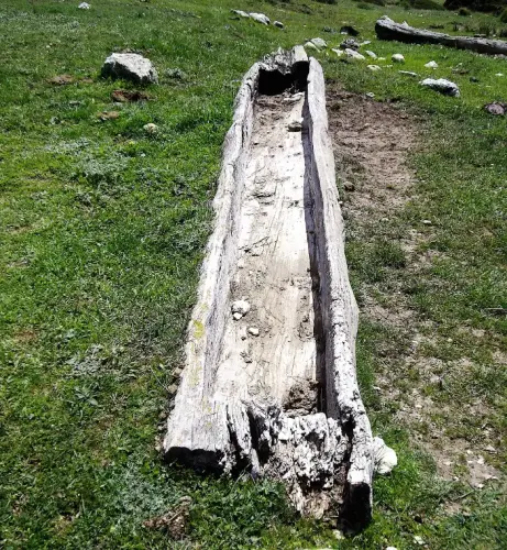 Tornajos-El-Tamaral-Nerpio2