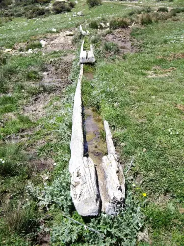 Tornajos-El-Tamaral-Nerpio3