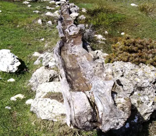 Tornajos-Las-Canadas-Nerpio3