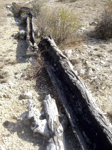 Tornajos-Las-Cobatillas-Calar-del-Mundo2