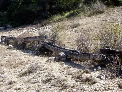 Tornajos-Las-Cobatillas-Calar-del-Mundo3