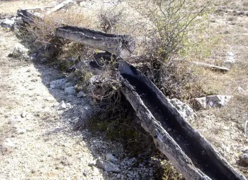 Tornajos-Las-Cobatillas-Calar-del-Mundo4
